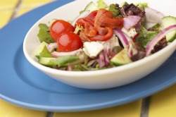 low fat diet plans